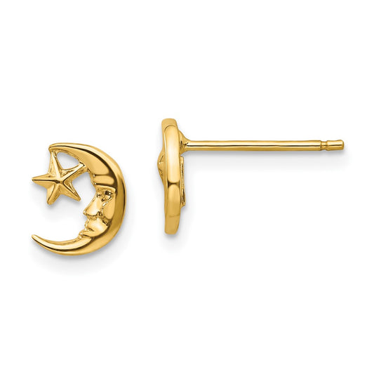 Moon and Star Post Earrings - WBC