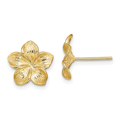 Plumeria Flower Post Earrings - WBC