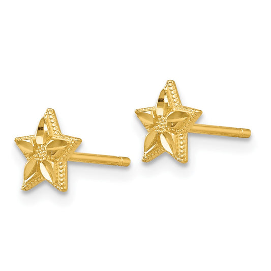 Polished and Diamond-cut Star Post Earrings - WBC
