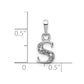 Diamond Initial S Charm - WBC