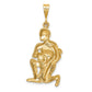 Large Satin Diamond-cut Aquarius Zodiac Charm - WBC