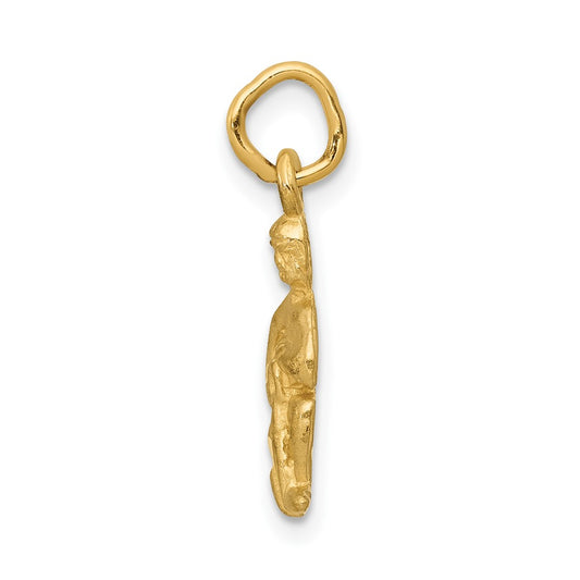 Small Satin Diamond-cut Aquarius Zodiac Charm - WBC
