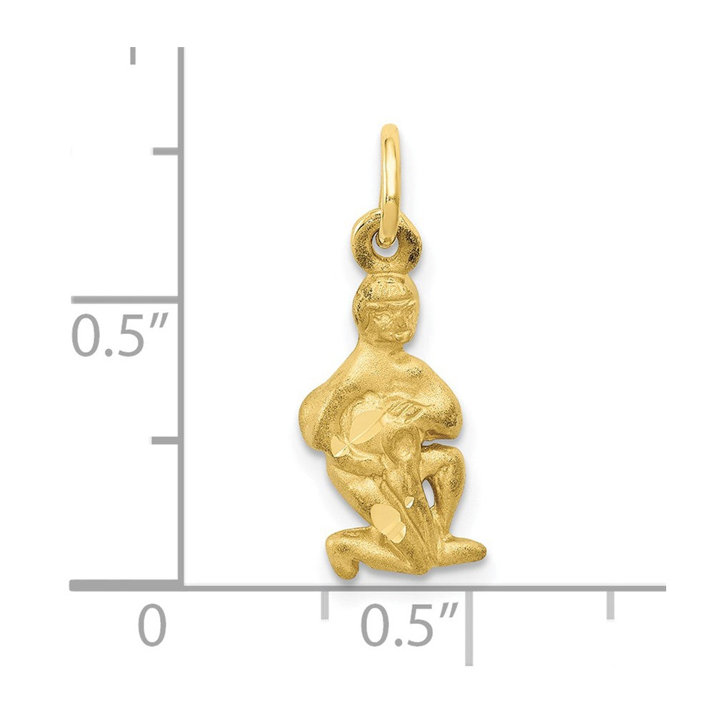 Small Satin Diamond-cut Aquarius Zodiac Charm - WBC