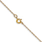 Carded . Cable Rope with Spring Ring Clasp Chain - WBC