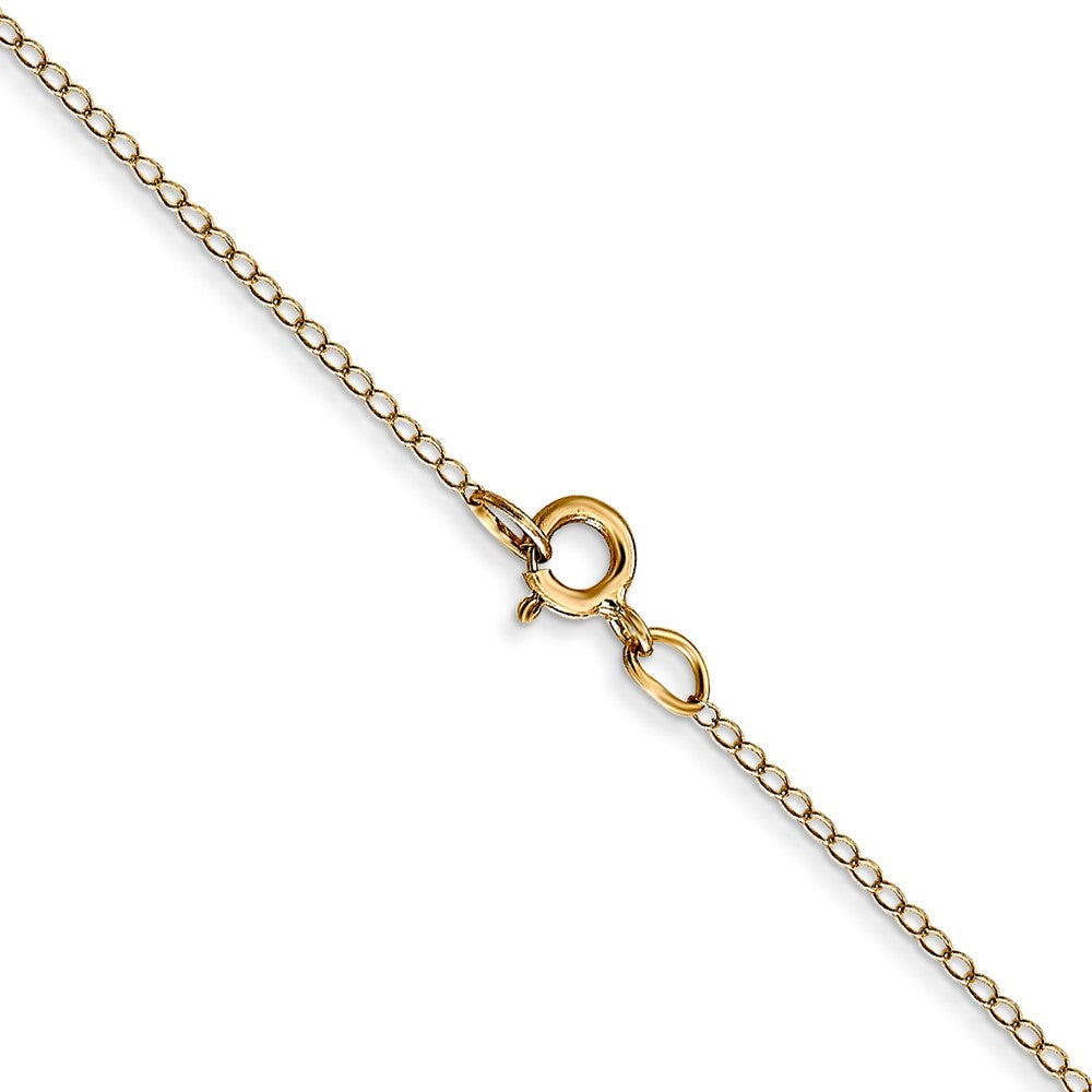 Carded . Curb with Spring Ring Clasp Chain - WBC