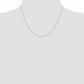 Carded . Curb with Spring Ring Clasp Chain - WBC