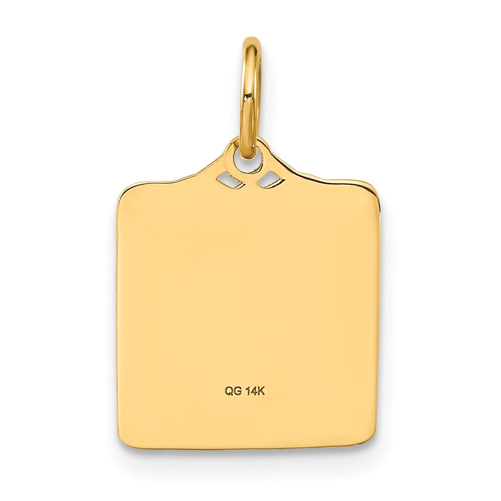 Enameled Pink Engravable BIRTH CERTIFICATE Charm - WBC