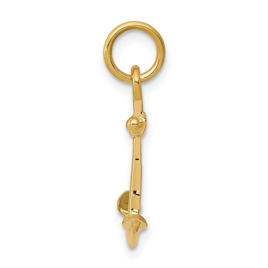 3-D Anchor Charm - WBC