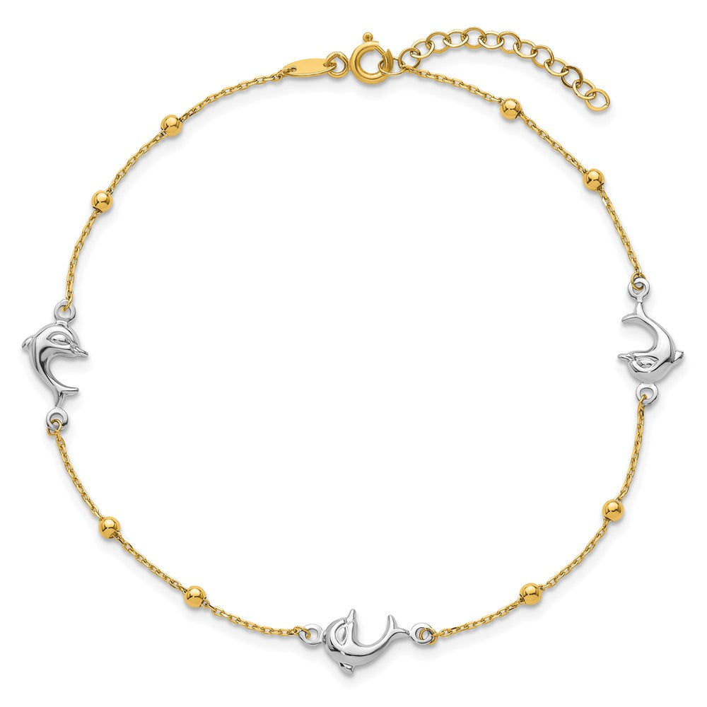 Two-tone Beads and Three Dolphins Plus Extender - Total Anklet - WBC