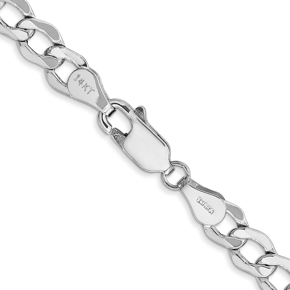 Semi-Solid Curb with Lobster Clasp Chain - WBC
