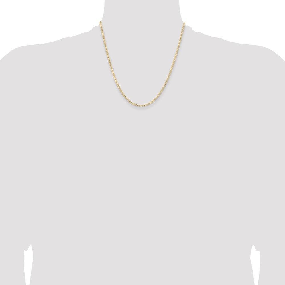 Semi-Solid Curb with Lobster Clasp Chain - WBC