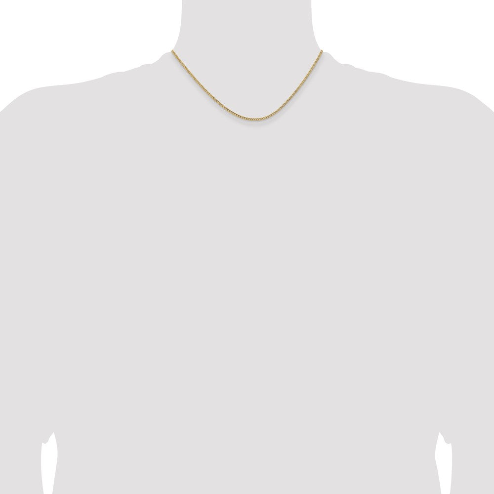 Semi-Solid Curb with Lobster Clasp Chain - WBC