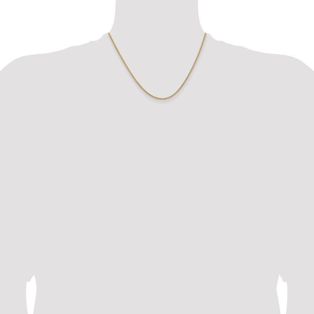 Semi-Solid Curb with Lobster Clasp Chain - WBC