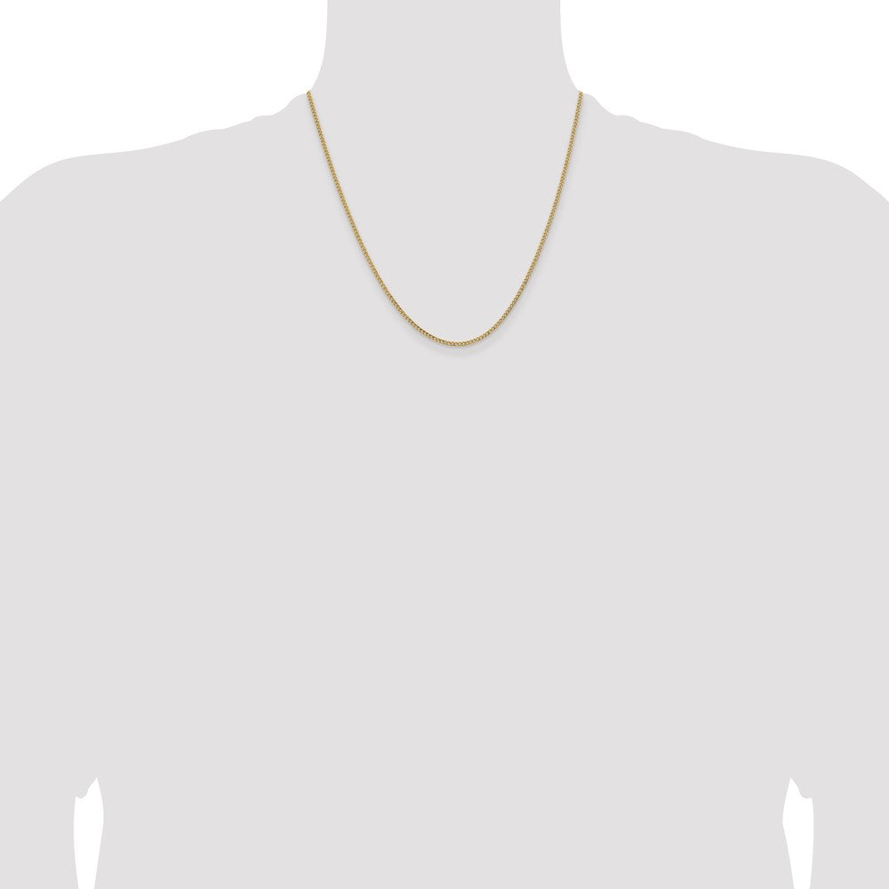 Semi-Solid Curb with Lobster Clasp Chain - WBC