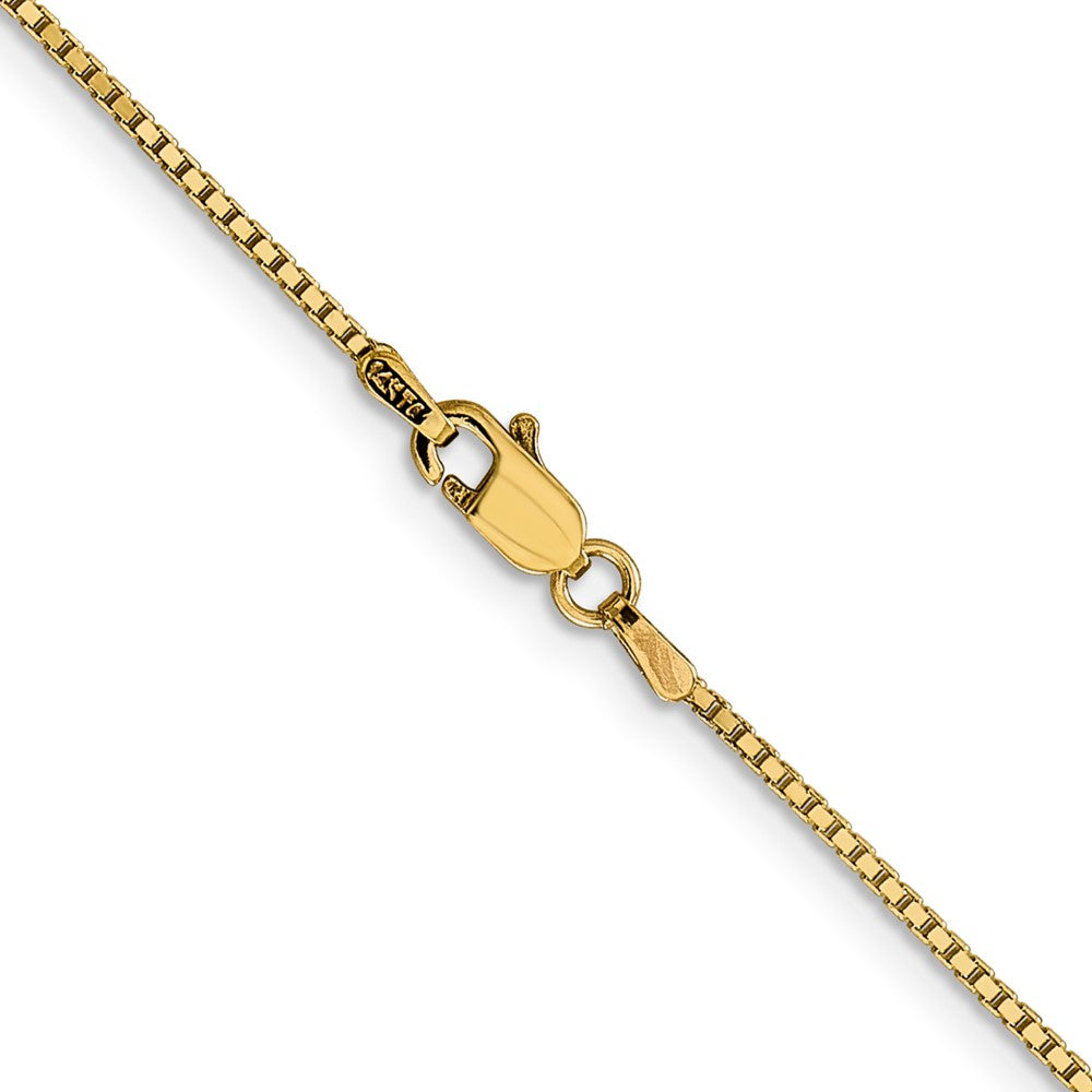 Box with Lobster Clasp Chain - WBC