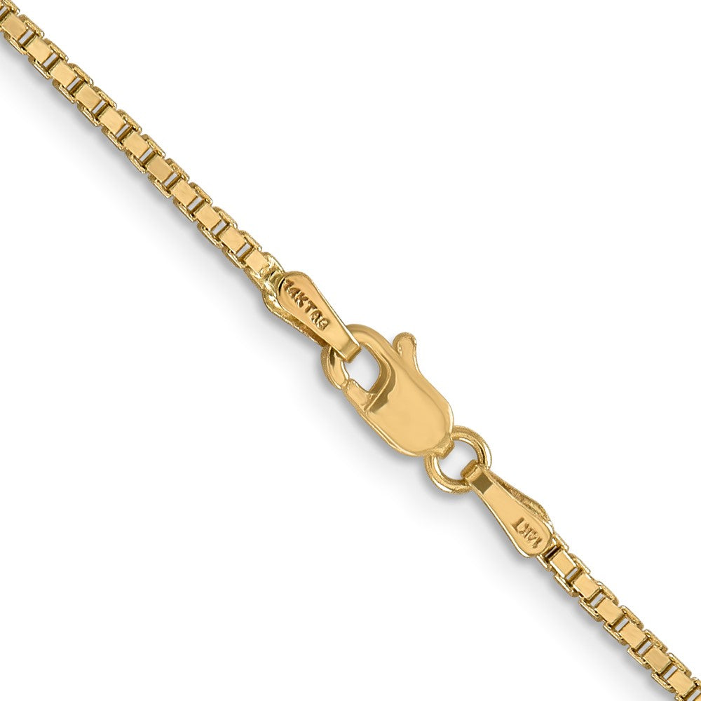 Box with Lobster Clasp Chain - WBC
