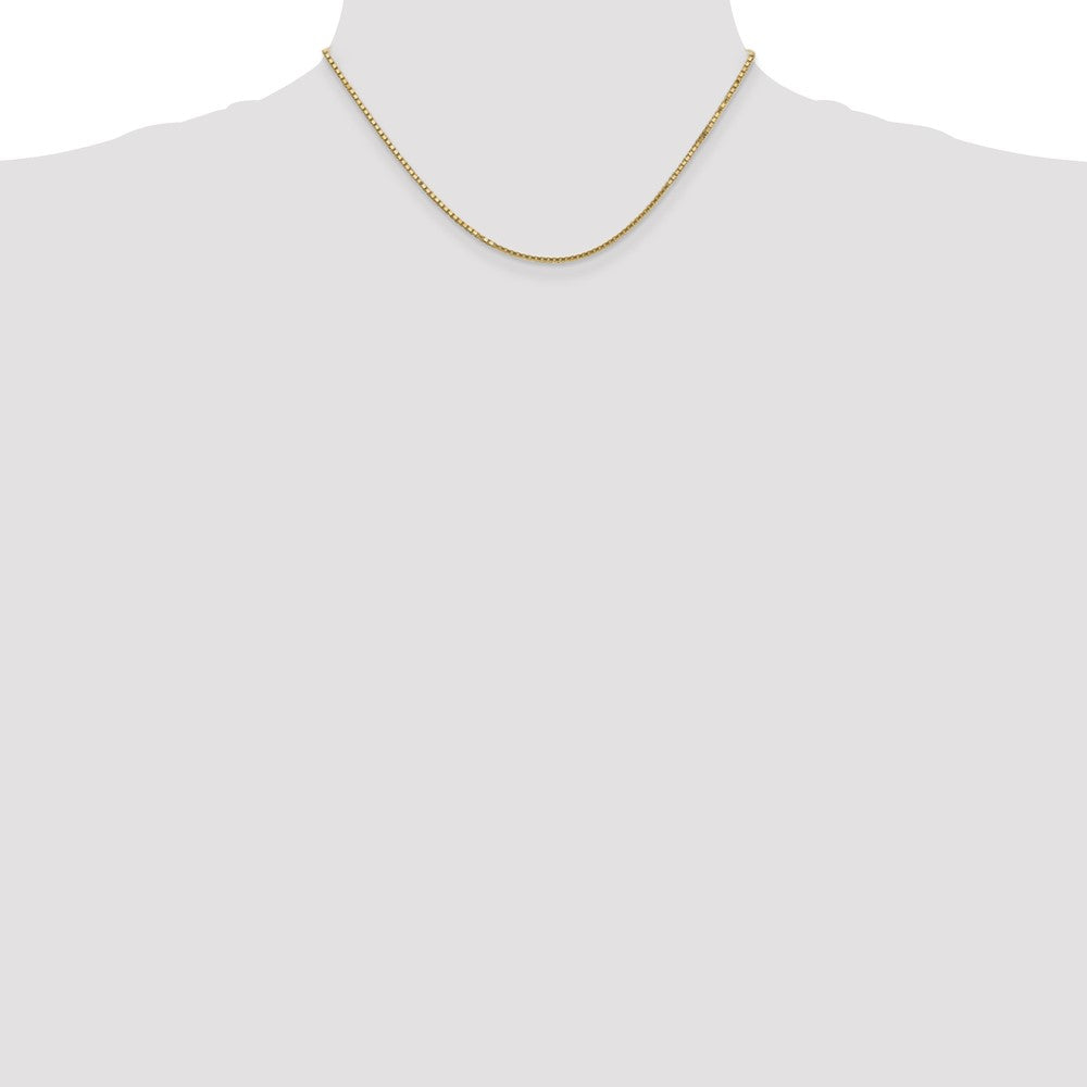 Box with Lobster Clasp Chain - WBC