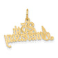 25th ANNIVERSARY Charm - WBC