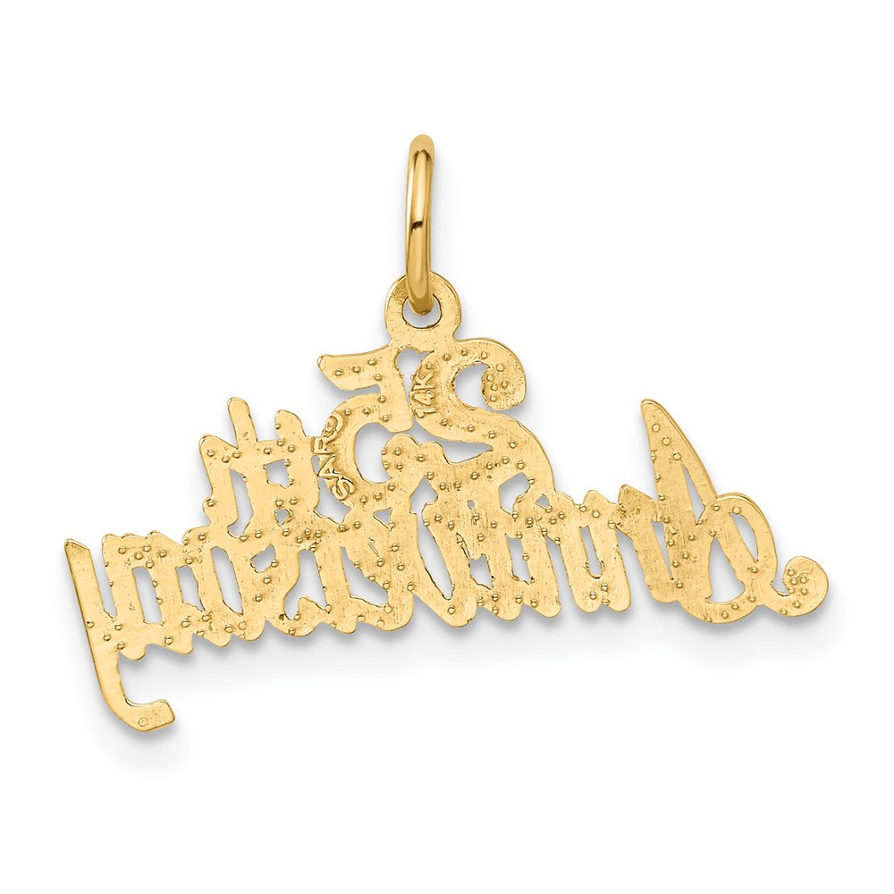 25th ANNIVERSARY Charm - WBC