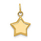 3-D Puffed Star Charm - WBC