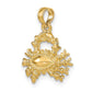 3-D Cancer Zodiac Charm - WBC