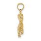 3-D Capricorn Zodiac Charm - WBC