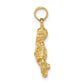 3-D Aquarius Zodiac Charm - WBC