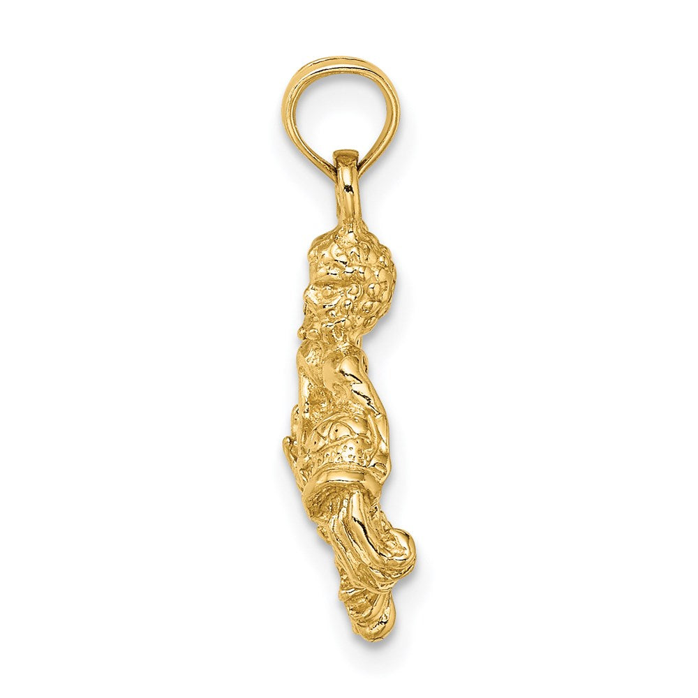 3-D Aquarius Zodiac Charm - WBC