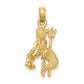 3-D Aquarius Zodiac Charm - WBC