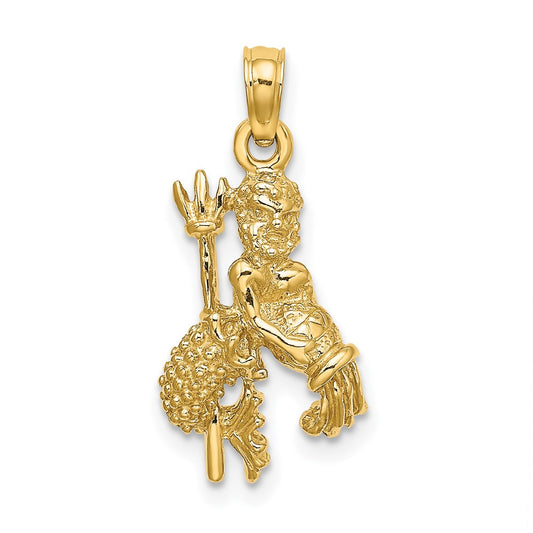 3-D Aquarius Zodiac Charm - WBC