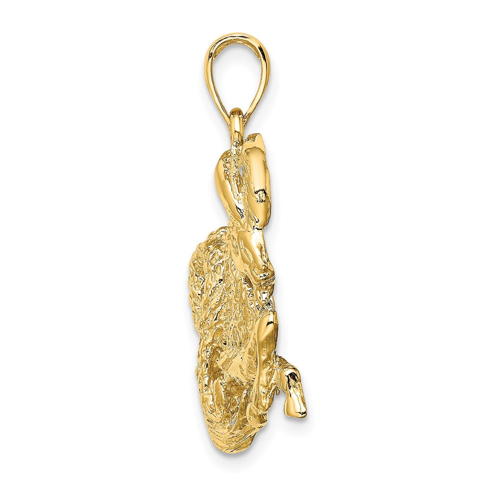 Large Capricorn Zodiac Charm - WBC