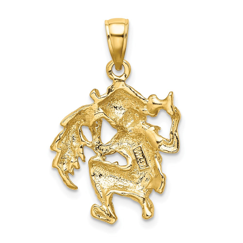 Large Aquarius Zodiac Charm - WBC