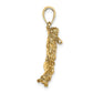 3-D Male Karate Pendant - WBC