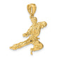 3-D Male Karate Pendant - WBC