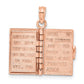 3-D HOLY BIBLE with Lord's Prayer and Moveable Pages Pendant - WBC