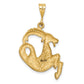 Satin Diamond-cut Capricorn Zodiac Charm - WBC