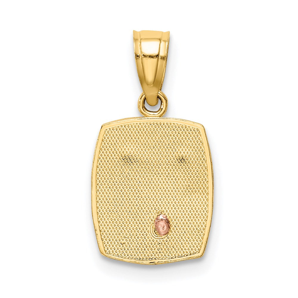 Two-tone and Rhodium Baptism Rectangular Pendant - WBC