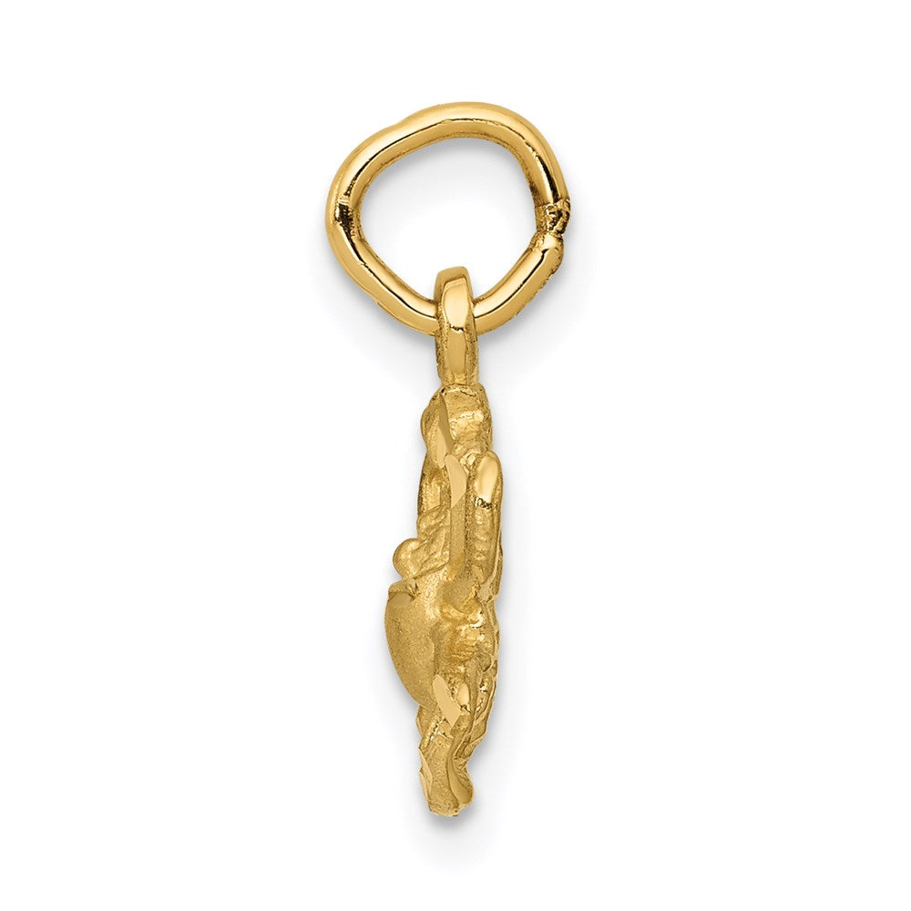 Satin Diamond-cut Cancer Zodiac Charm - WBC