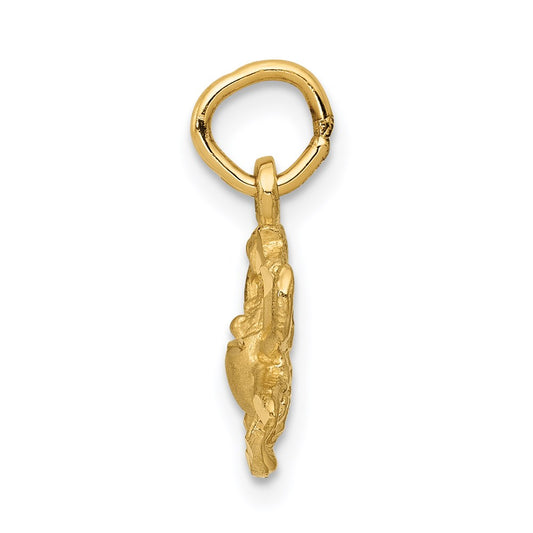 Satin Diamond-cut Cancer Zodiac Charm - WBC
