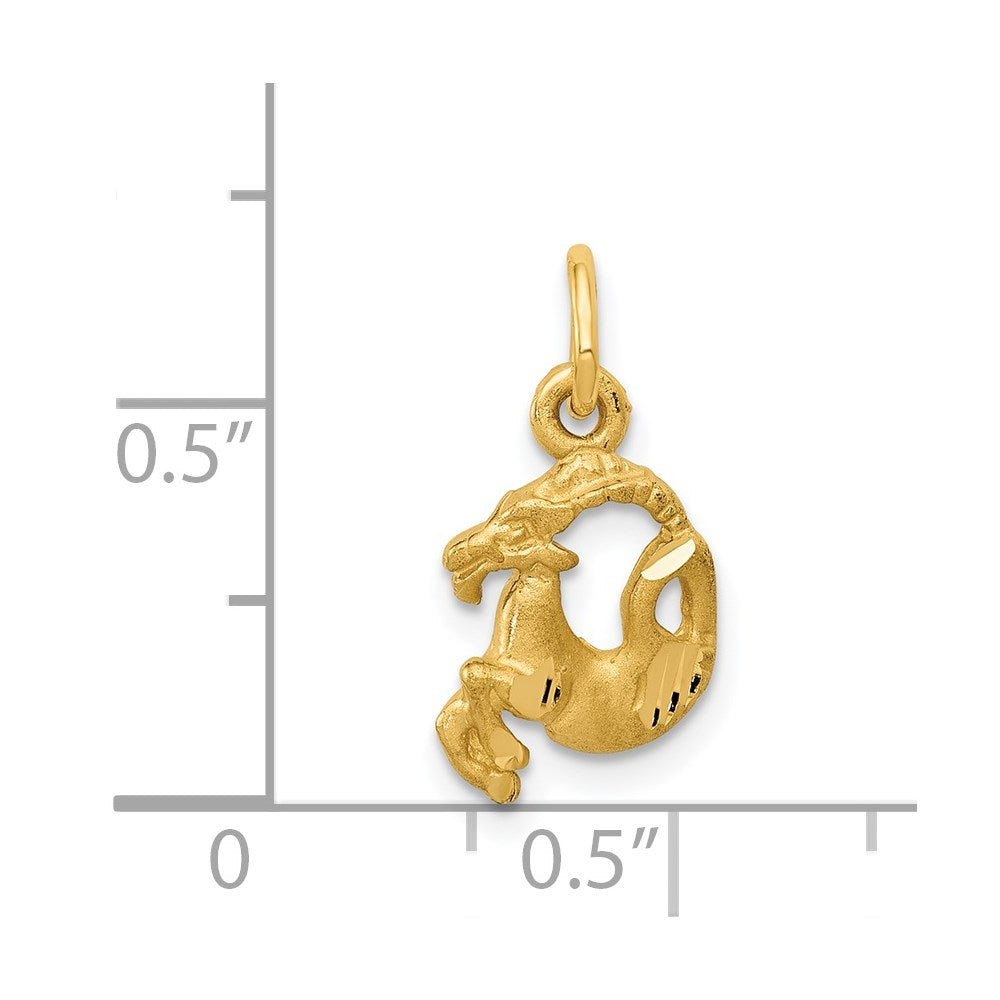 Satin Diamond-cut Capricorn Zodiac Charm - WBC