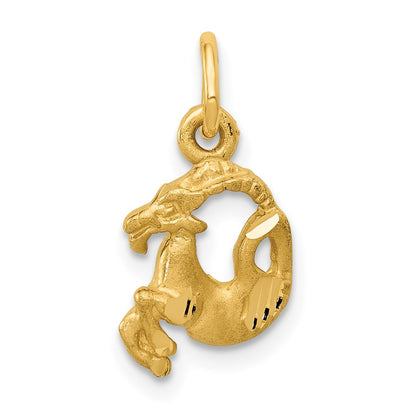 Satin Diamond-cut Capricorn Zodiac Charm - WBC