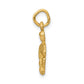Satin Diamond-cut Aquarius Zodiac Charm - WBC