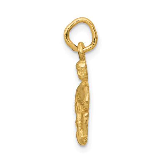 Satin Diamond-cut Aquarius Zodiac Charm - WBC