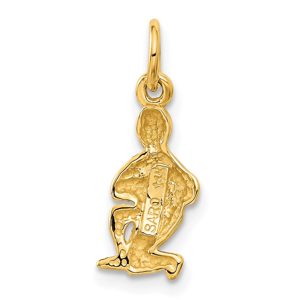 Satin Diamond-cut Aquarius Zodiac Charm - WBC