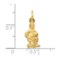 Satin Diamond-cut Aquarius Zodiac Charm - WBC