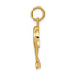 Dolphin Charm - WBC