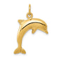 Dolphin Charm - WBC