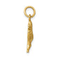 Camel Charm - WBC