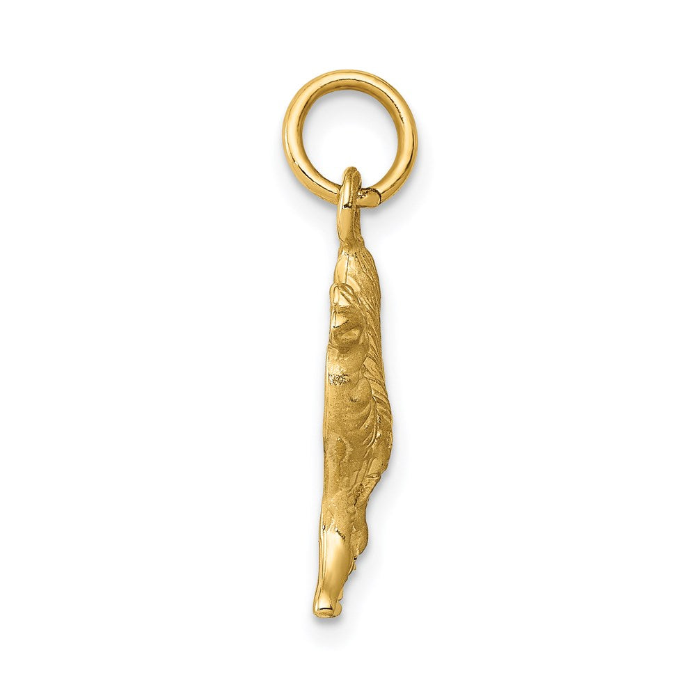 Camel Charm - WBC