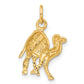Camel Charm - WBC